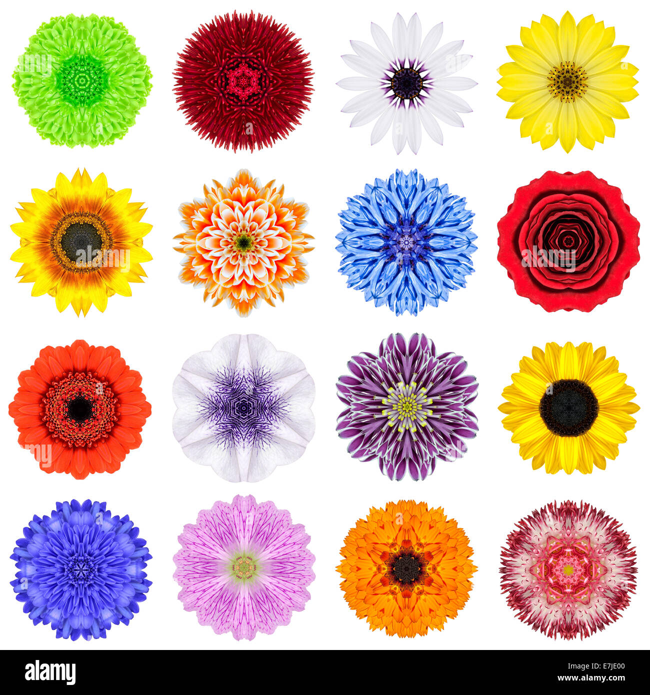 Big Collection of Various Concentric Pattern Flowers. Kaleidoscopic Mandala Patterns Isolated on White Background. Concentric Ro Stock Photo