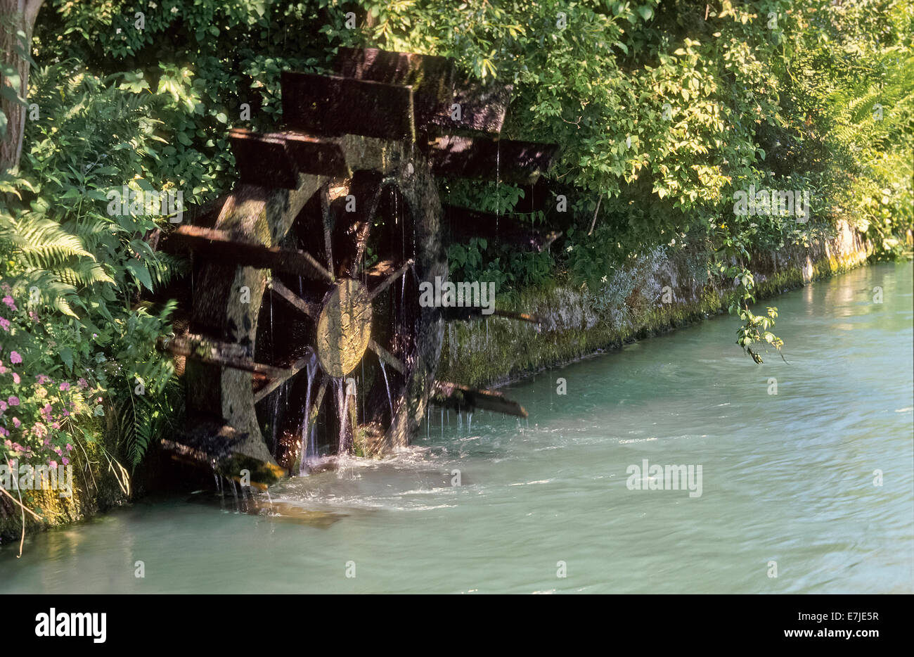 Austria, Europe, Austria, Salzburg, water, way, drinking water, water