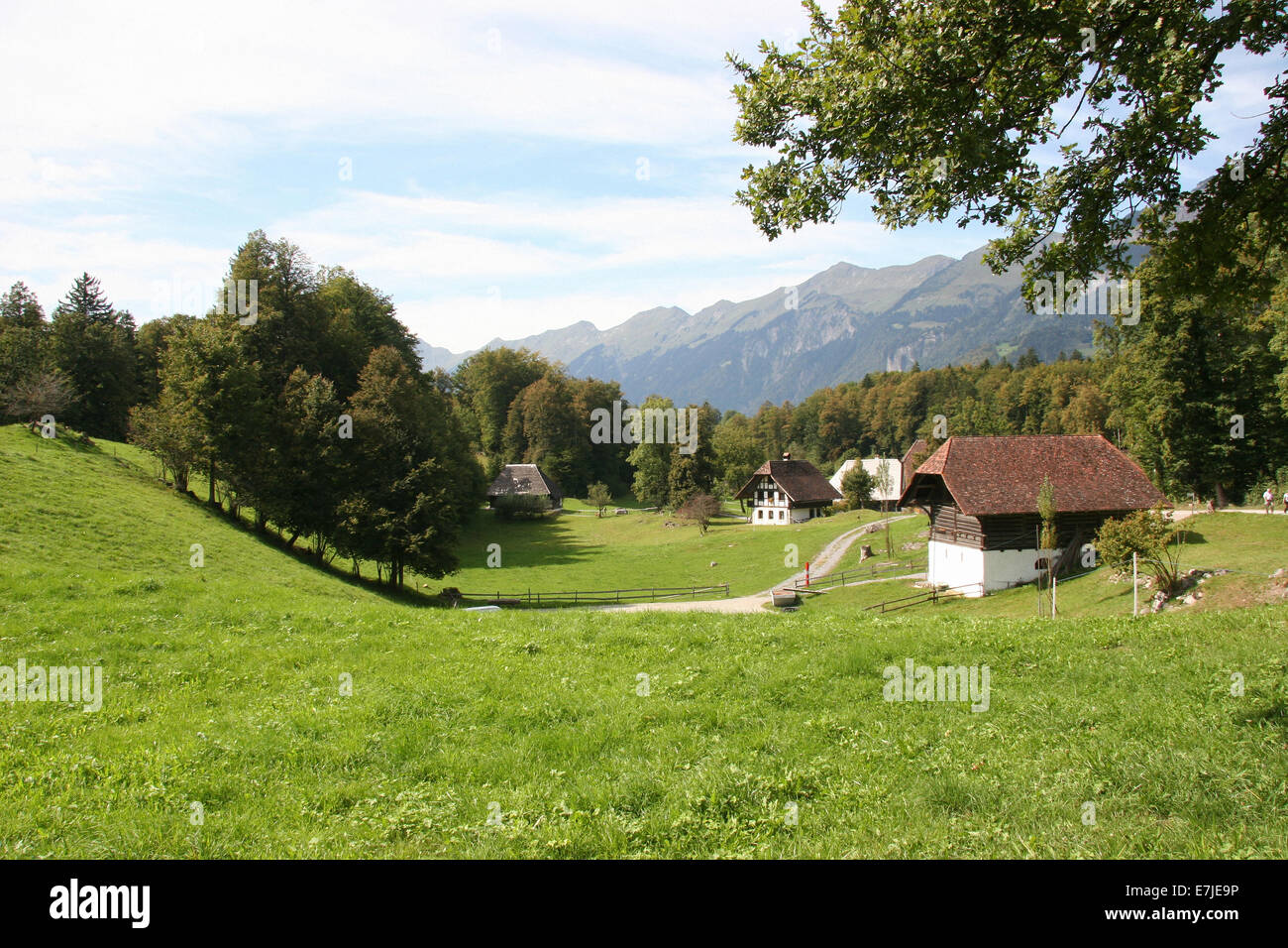 Switzerland, Brienz, Bernese Oberland, open-air museum, history, museum, historical, Ballenberg, scenery, house, home, meadow Stock Photo
