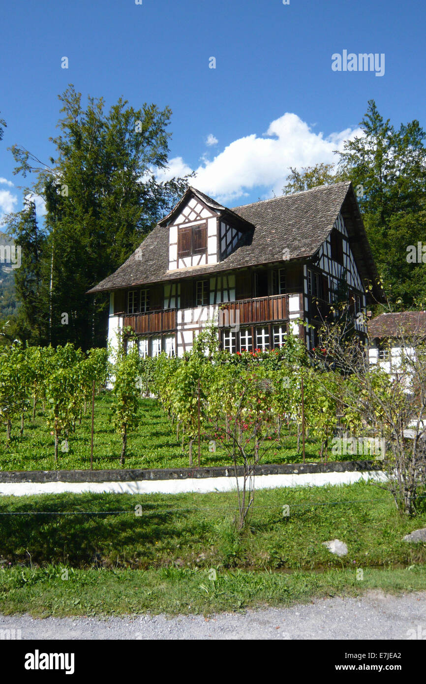 Switzerland, Brienz, Bernese Oberland, open-air museum, history, museum, historical, Ballenberg, wine, farmhouse, bolt house, Zu Stock Photo