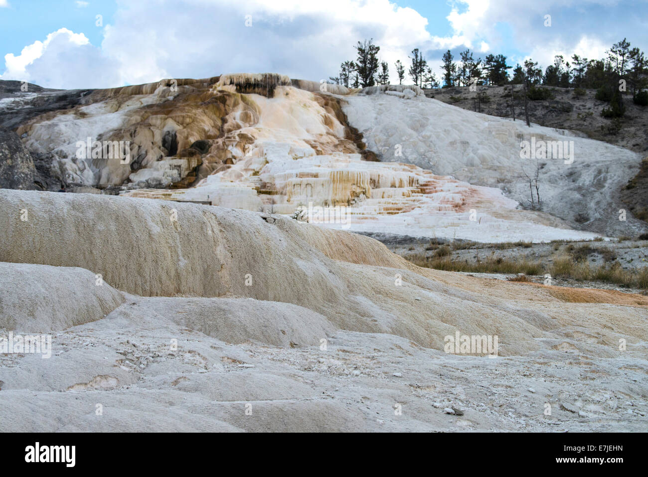 Mammoth Hot Springs, Yellowstone, National Park, Wyoming, USA, United States, America, calcium, carbonate, terraces Stock Photo