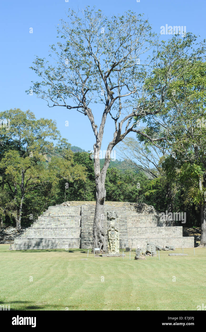 Central America, Americas, ancient, archaeology, architecture, building, built, carved, copan, culture, exterior, gods, gran pla Stock Photo