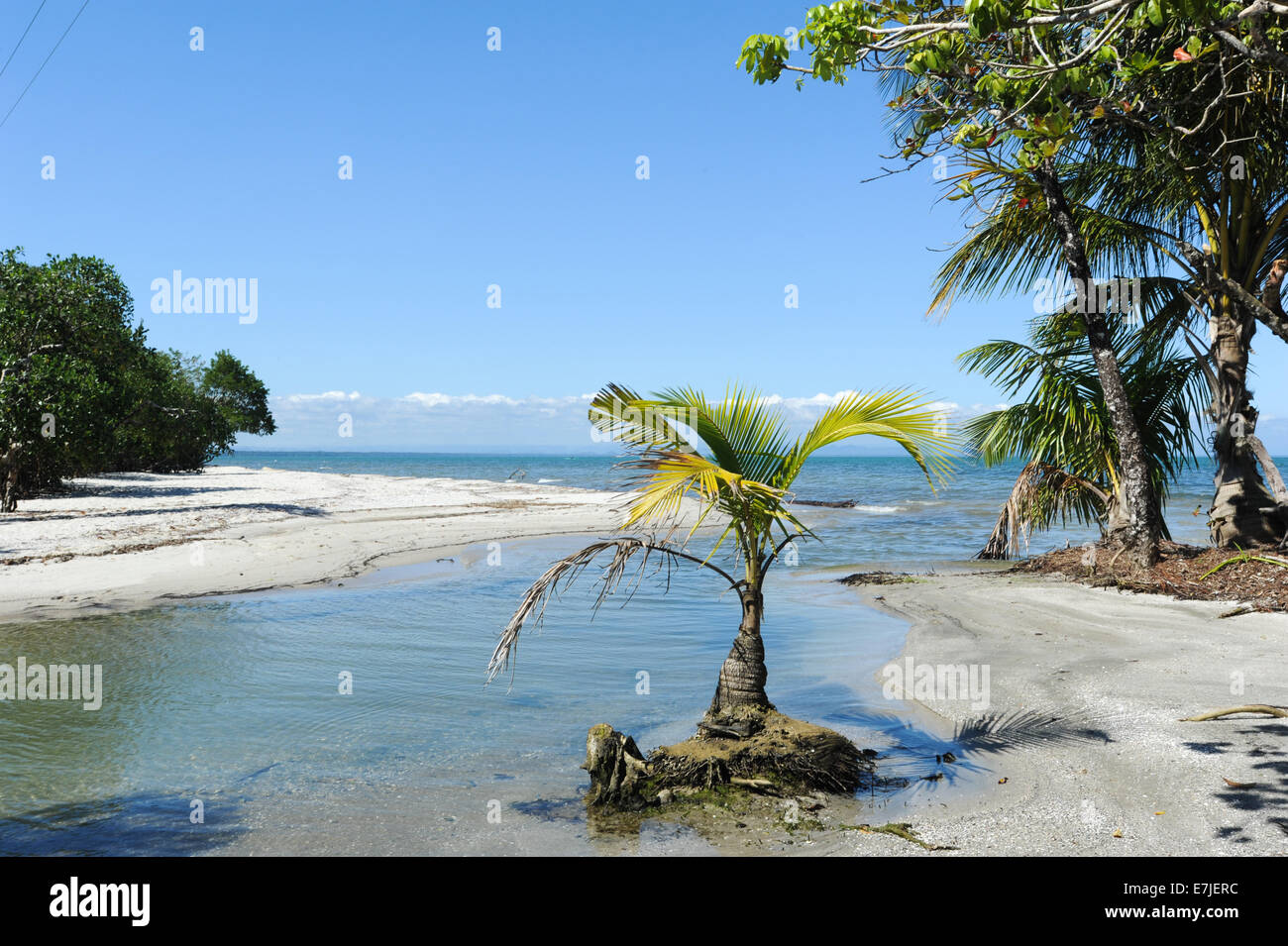 Guatemala, Central America, beach, Livingston, nature, ocean, palm trees, playa blanca, sand, scenic, trees Stock Photo