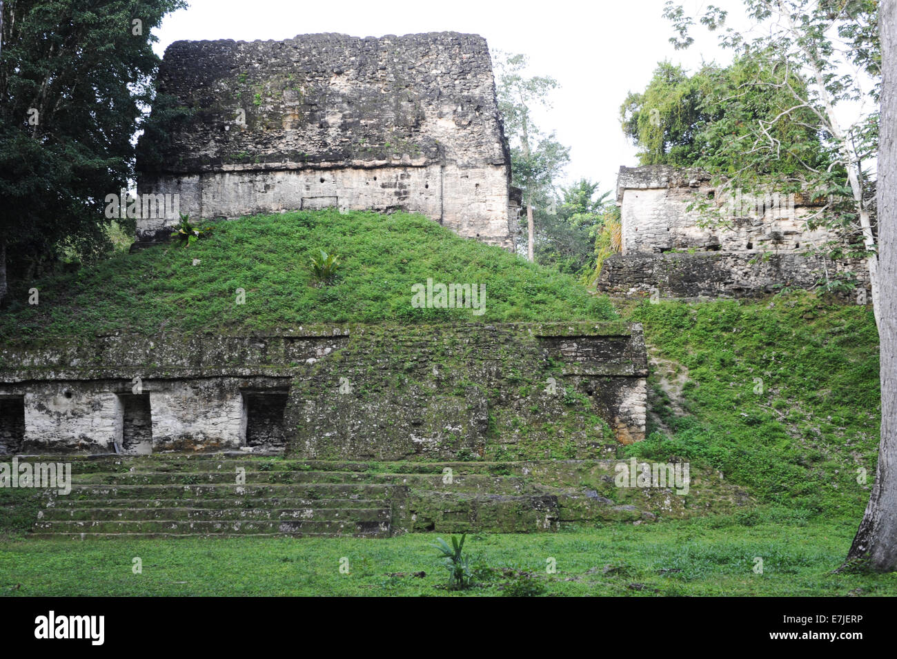 Guatemala, Central America, Peten, acropolis, America, ancient, archaeology, architecture, buildings, central, city, civilisatio Stock Photo