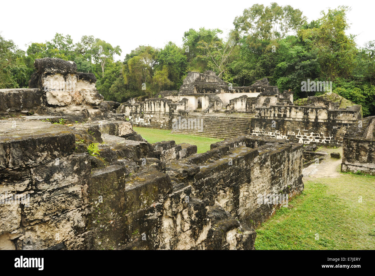 Guatemala, Central America, Peten, acropolis, America, ancient, archaeology, architecture, buildings, central, city, civilisatio Stock Photo