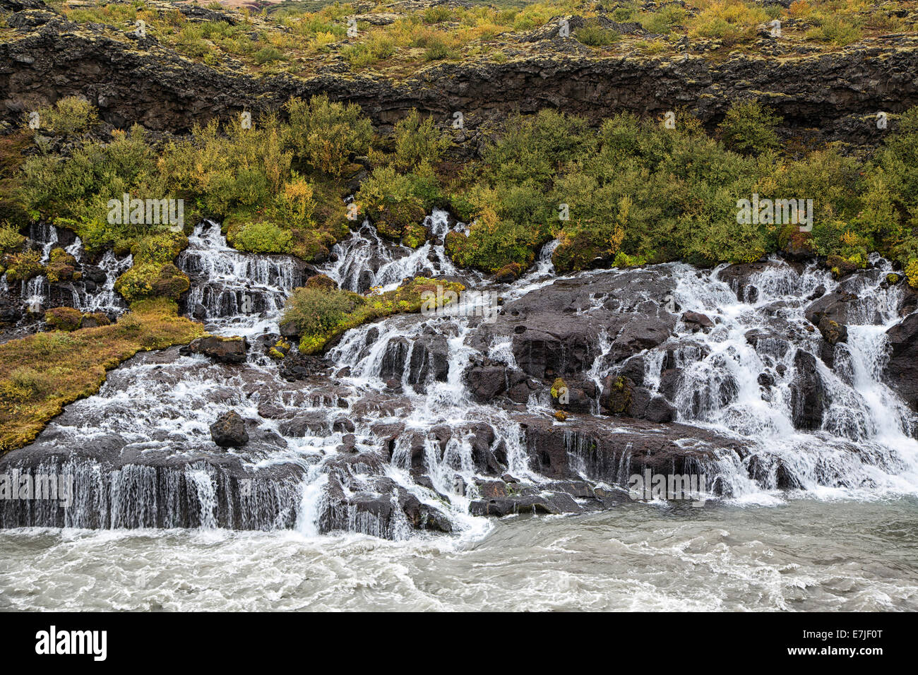 Barnafoss, cliff, autumn, mood, Hraunfossar, Hvita, Iceland, Europe, cascade, child waterfall, gulch, protective area, water, wa Stock Photo