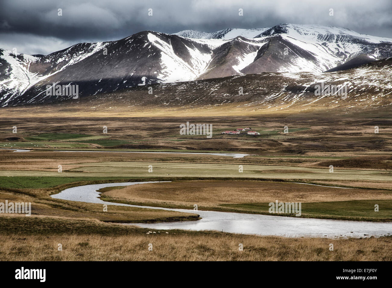 Farm, mountain, Iceland, Europe, snowy, mountain, Vididalur, Vidigerdi, scenery, landscape, Stock Photo