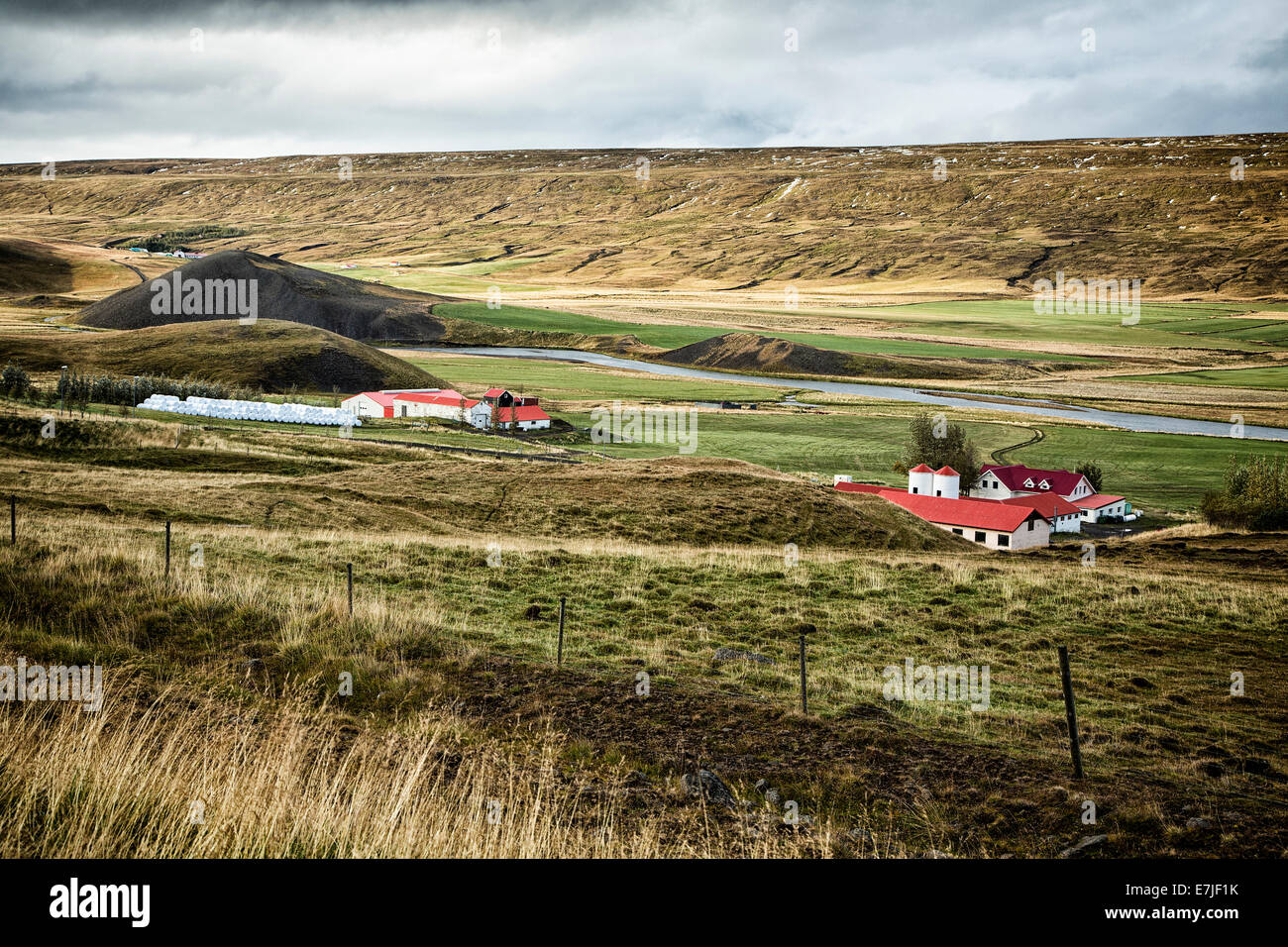 Farm, Bed and Breakfast, Herd, group, court, yard, Iceland, Europe, Vatndalsdalur, Vatnsdalur, scenery, landscape, Stock Photo