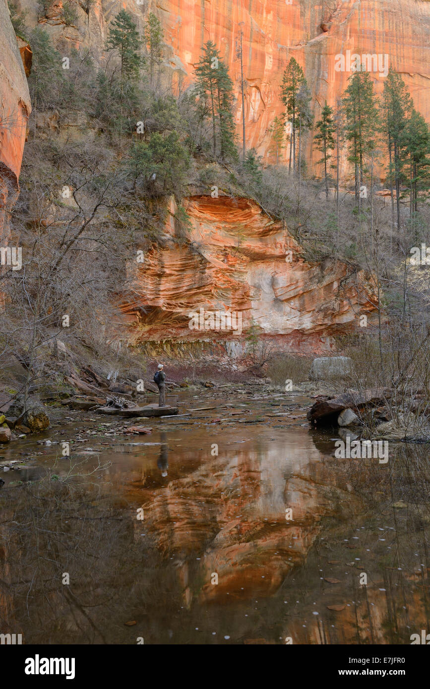 USA, United States, America, Arizona, Sedona, West Fork, Oak Creek, Coconino, National Forest, canyon, hike, hiker Stock Photo