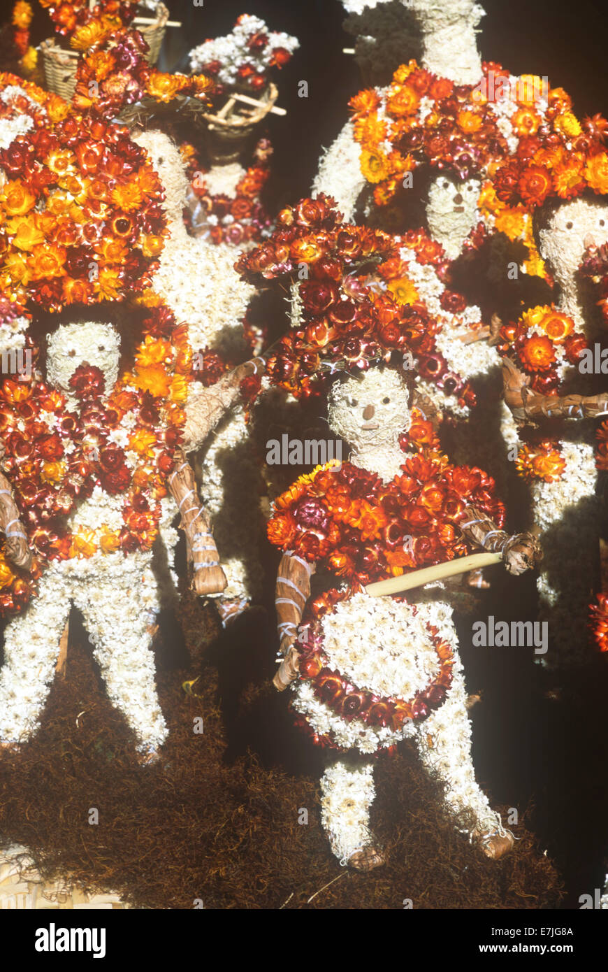 Dried Flowers, Night of the Radishes, Oaxaca City, Oaxaca, Mexico Stock ...