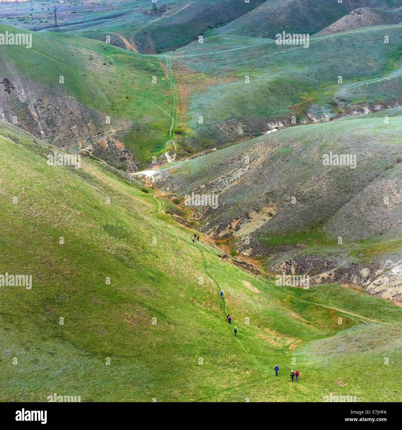 Group of people hiking in the green mountains Stock Photo - Alamy