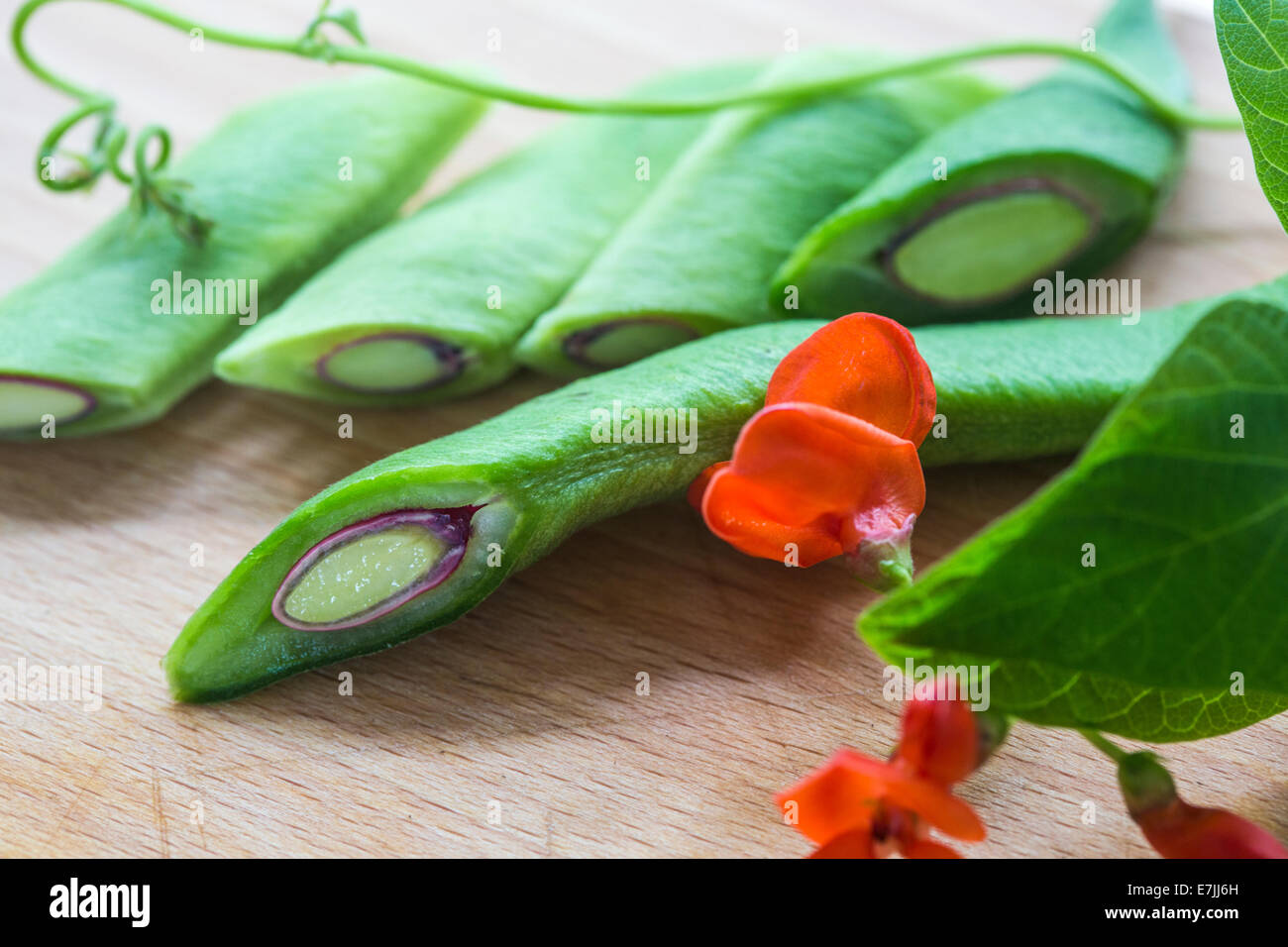 Beans runner hires stock photography and images Alamy