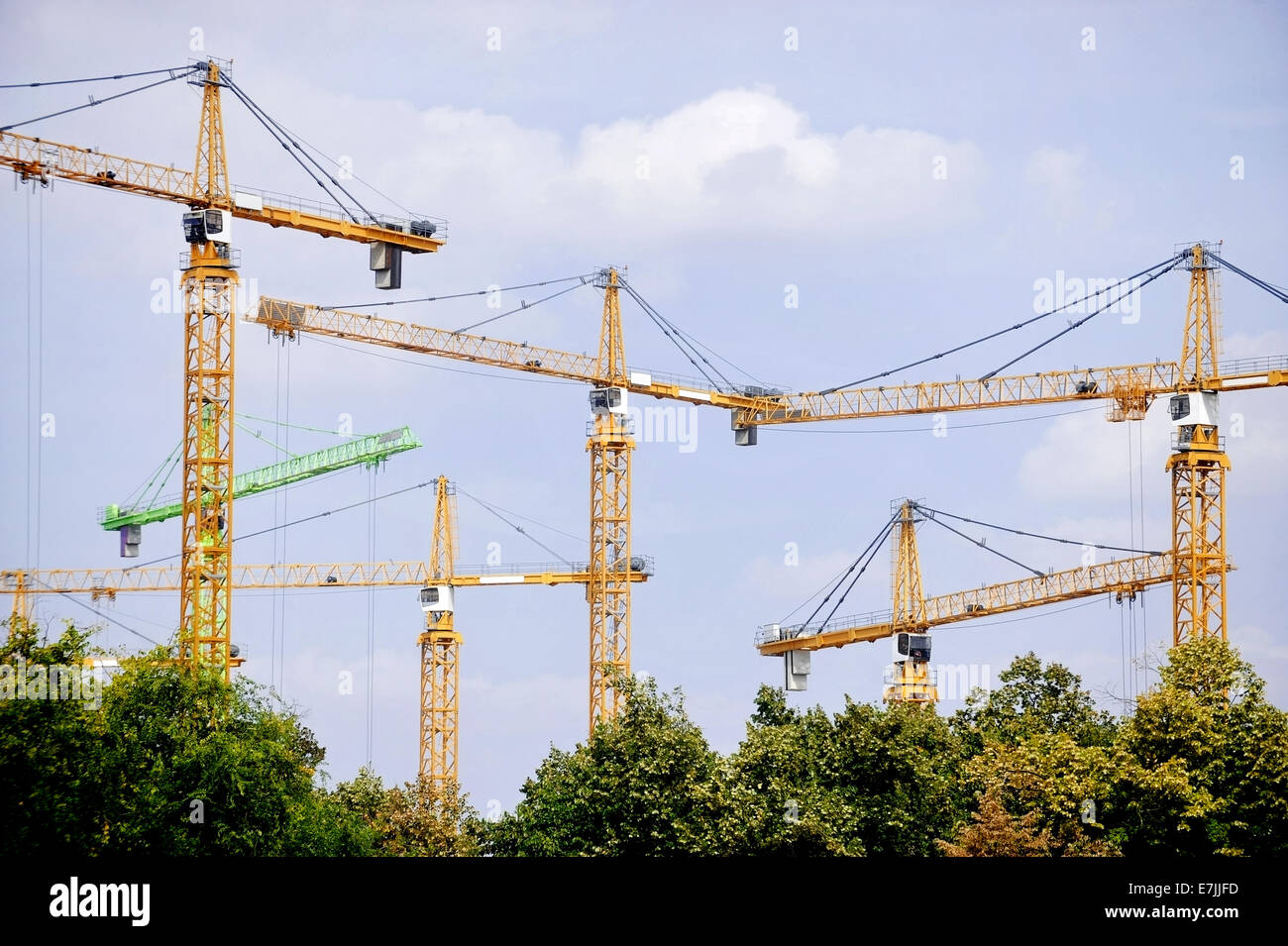 Several construction cranes are seen above a tree line Stock Photo