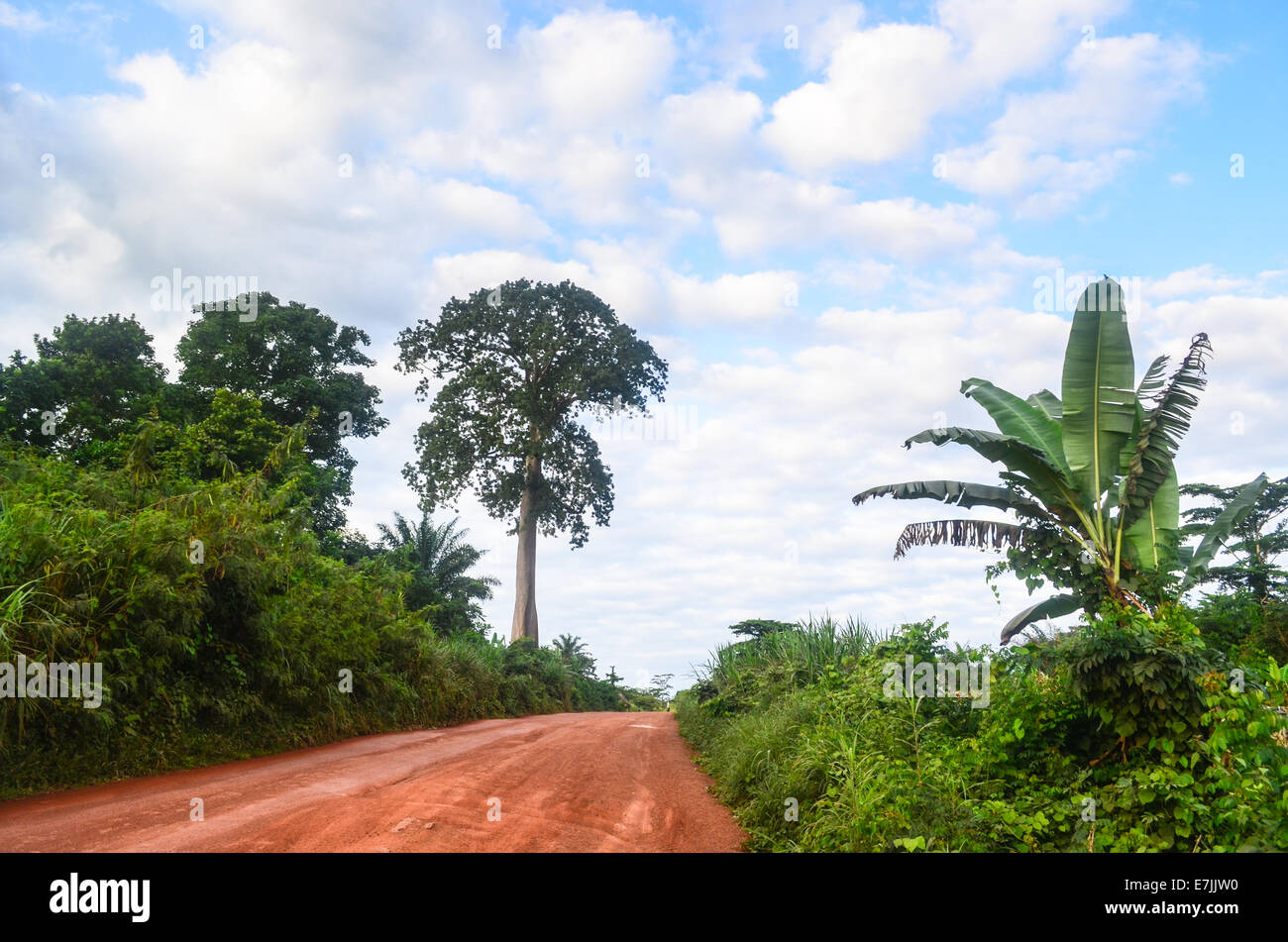Dirt road in Nimba County, northern Liberia Stock Photo