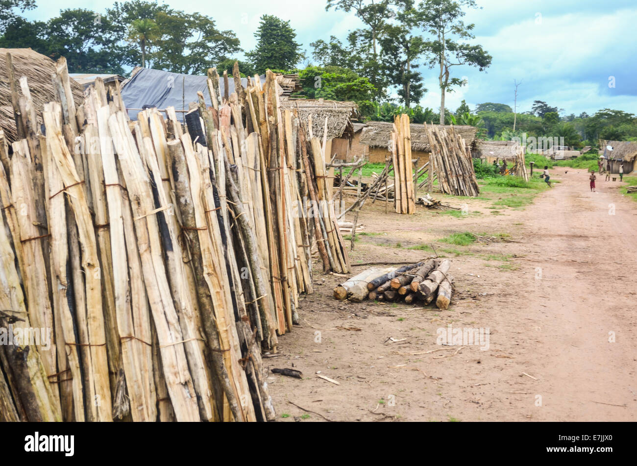 Wood for sale in a village of Ivory Coast (Côte d'Ivoire) at the border with Liberia Stock Photo