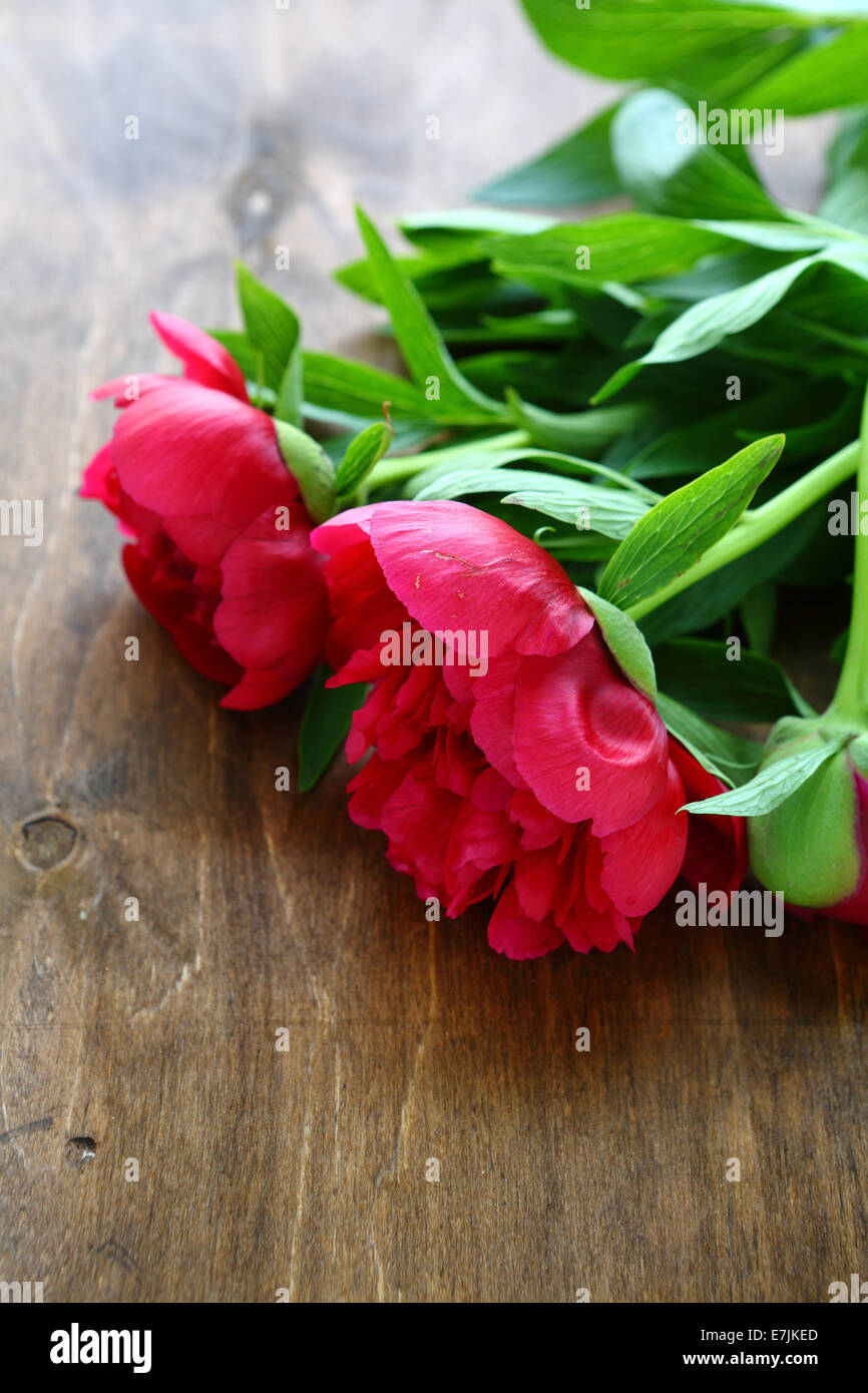 Red peony on wooden background,  flowers Stock Photo