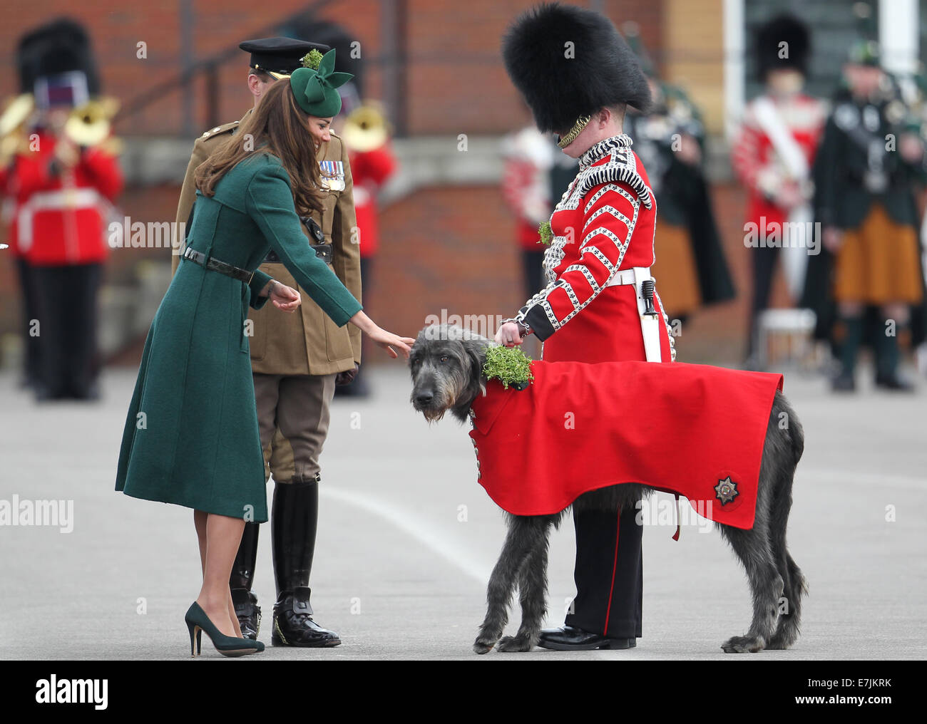 HRH The Duchess of Cambridge and Prince William presents shamrocks to the Irish Guards' at St Patricks Day Parade.  Featuring: Catherine,Duchess of Cambridge,Kate Middleton Where: Aldershot, United Kingdom When: 16 Mar 2014 Stock Photo