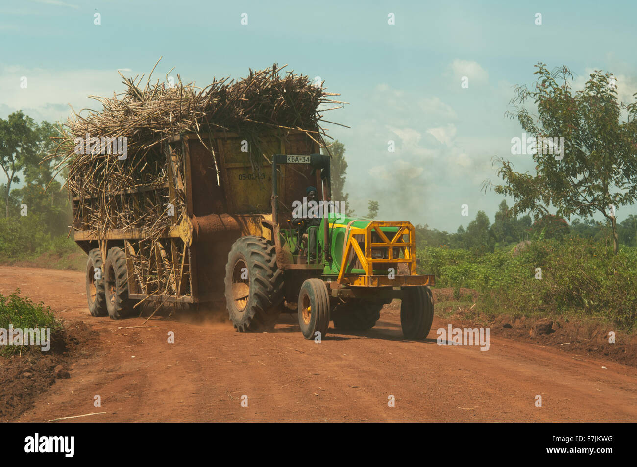 tractor, transporting sugar cane to mill, Kenya, Africa Stock Photo Alamy