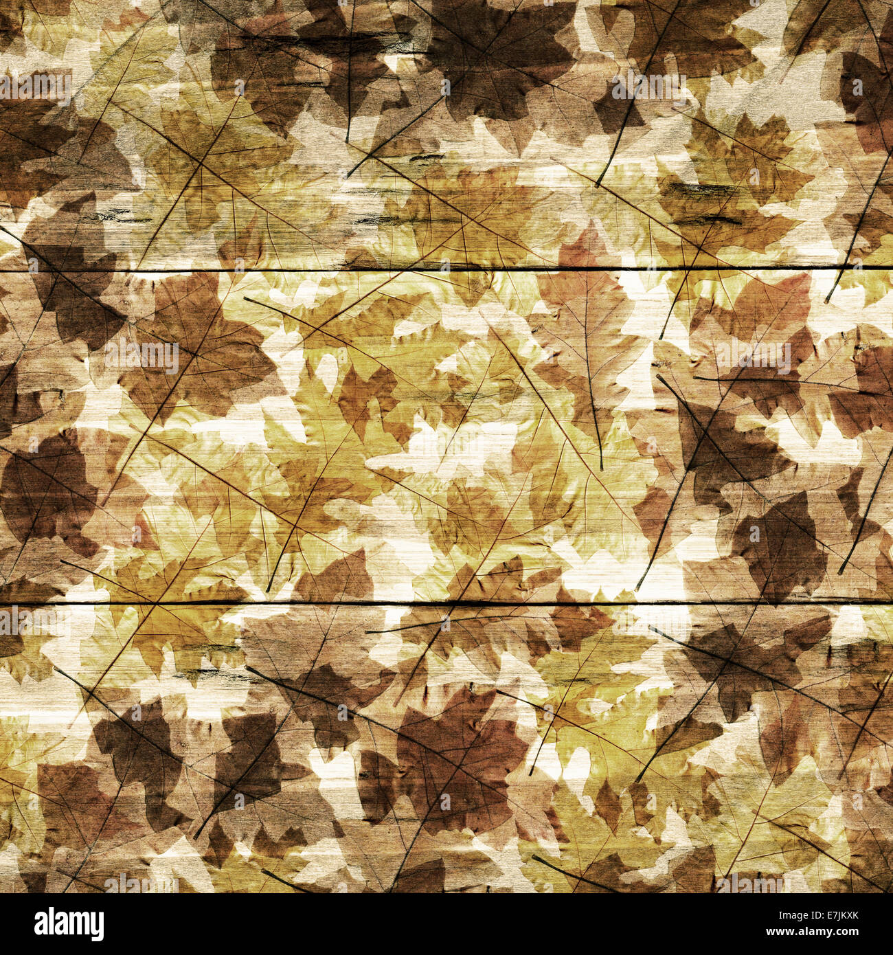 dry leafs on wood. Autumn background Stock Photo
