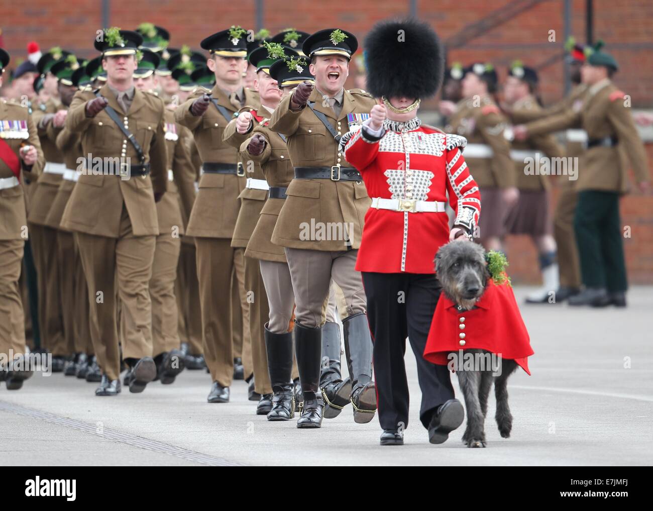HRH The Duchess of Cambridge and Prince William presents shamrocks to the Irish Guards' at St Patricks Day Parade.  Featuring: Atmosphere Where: Aldershot, United Kingdom When: 16 Mar 2014 Stock Photo
