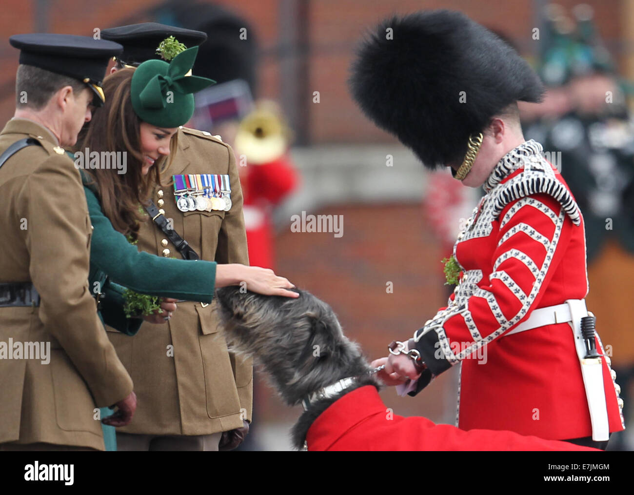 HRH The Duchess of Cambridge and Prince William presents shamrocks to the Irish Guards' at St Patricks Day Parade.  Featuring: Catherine,Duchess of Cambridge,Kate Middleton Where: Aldershot, United Kingdom When: 16 Mar 2014 Stock Photo