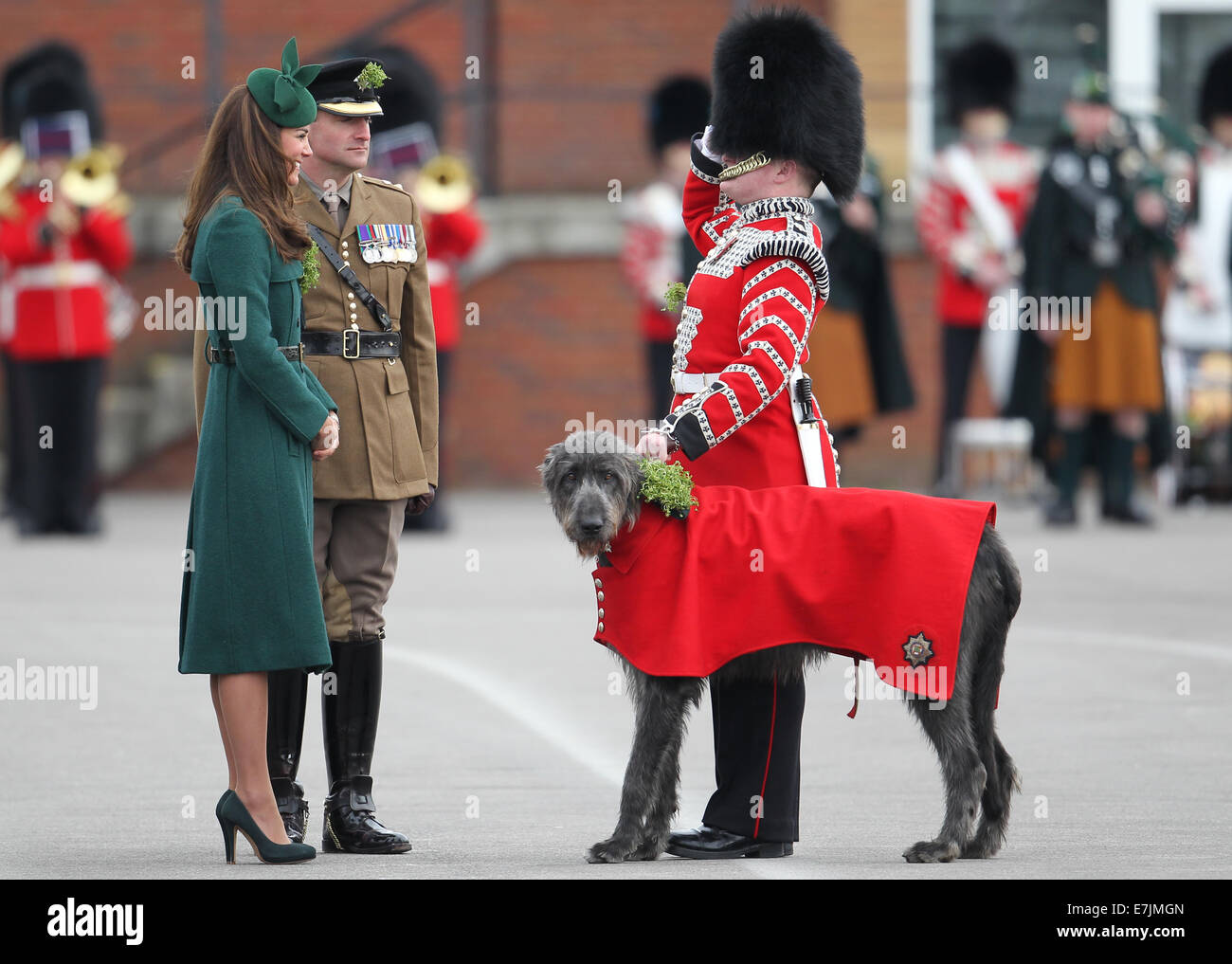 HRH The Duchess of Cambridge and Prince William presents shamrocks to the Irish Guards' at St Patricks Day Parade.  Featuring: Catherine,Duchess of Cambridge,Kate Middleton Where: Aldershot, United Kingdom When: 16 Mar 2014 Stock Photo