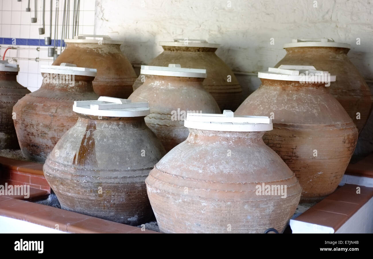 Earthenware jars in a olive oil museum Stock Photo Alamy