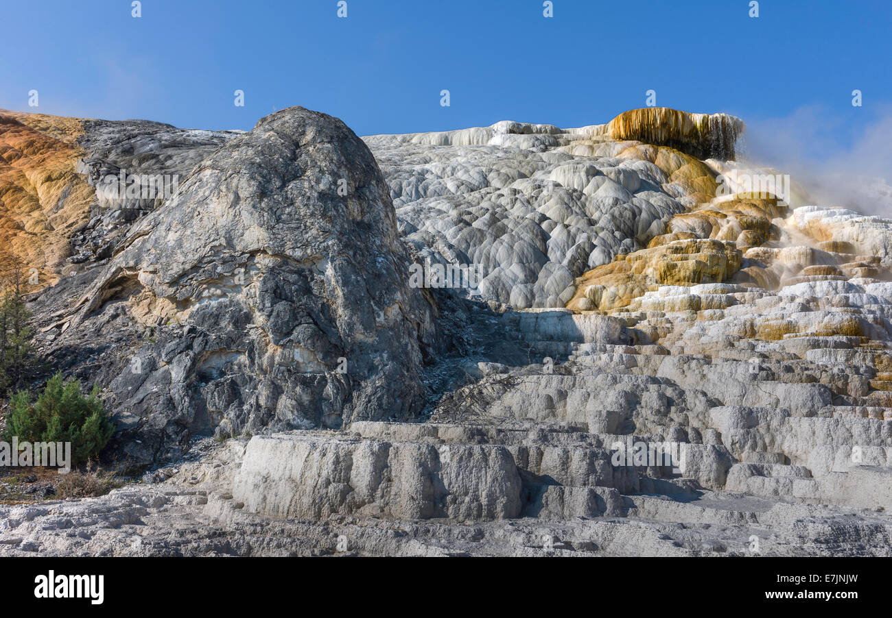 Calcium Carbonate deposits from hot springs in the heart of Yellowstone