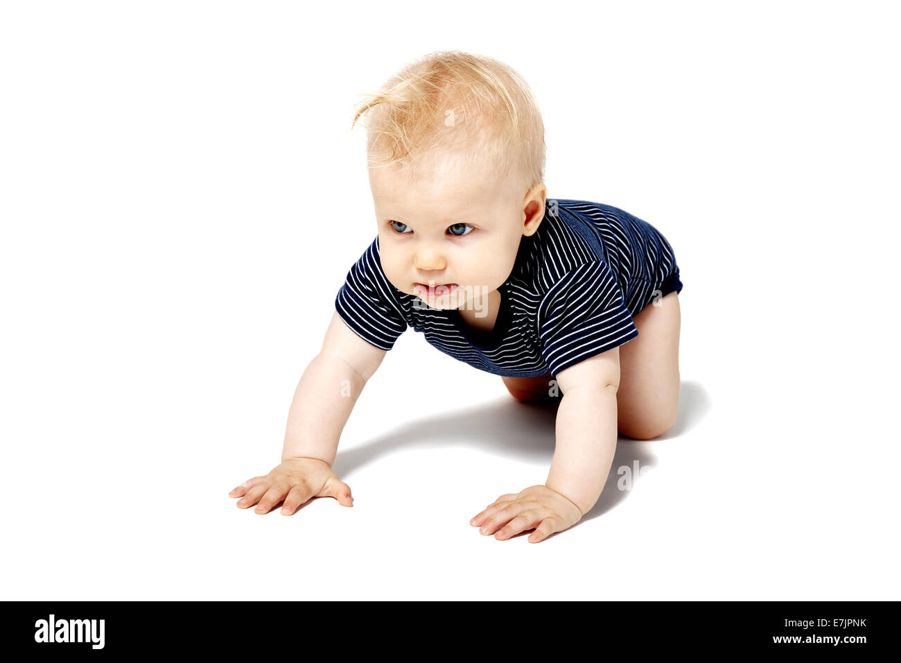 Baby girl is crawling on her knees. Isolated on white background. Stock Photo