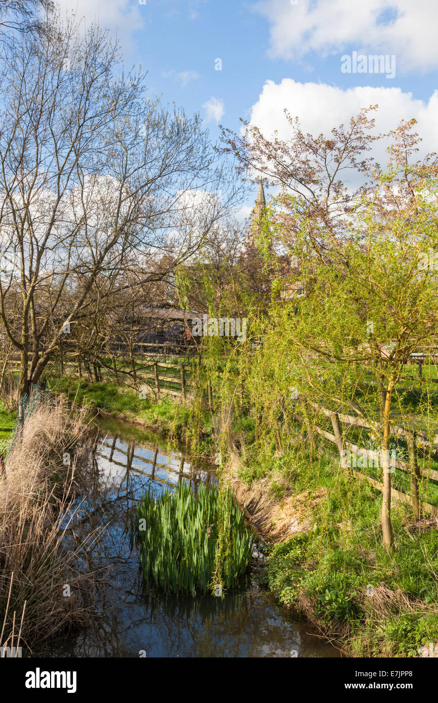 A rural stream. The Brook flowing by the village of Willoughby on the Wolds, Nottinghamshire, England, UK Stock Photo