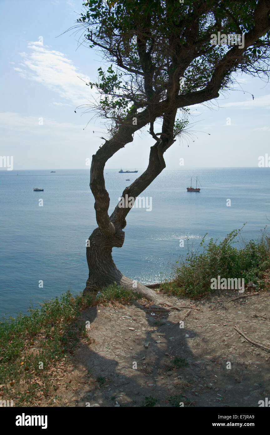 Rocky coast Black sea Stock Photo - Alamy