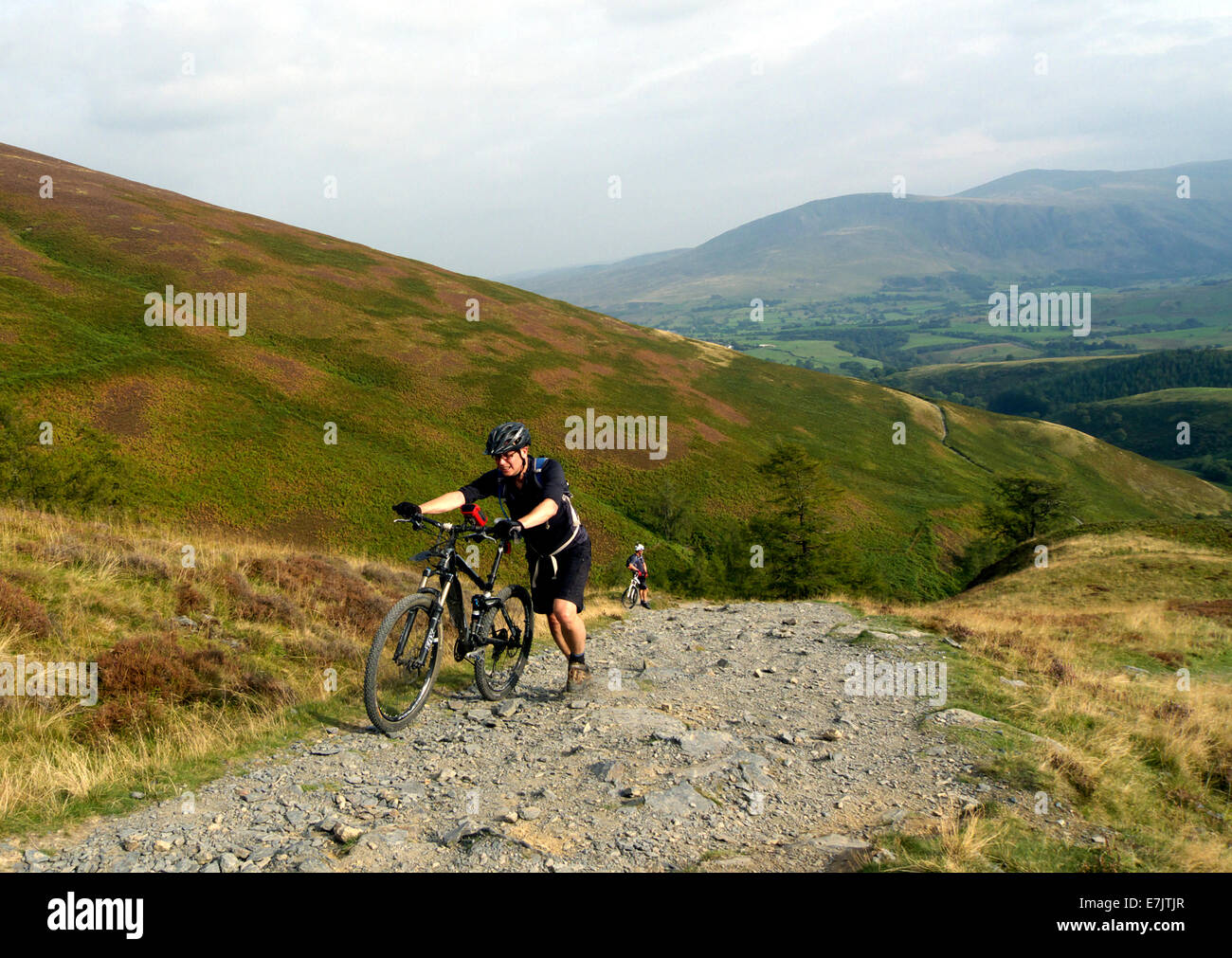 Mountain cyclists push bikes up steep track to Skiddaw from Latrigg car park, English Lake District, UK. Stock Photo