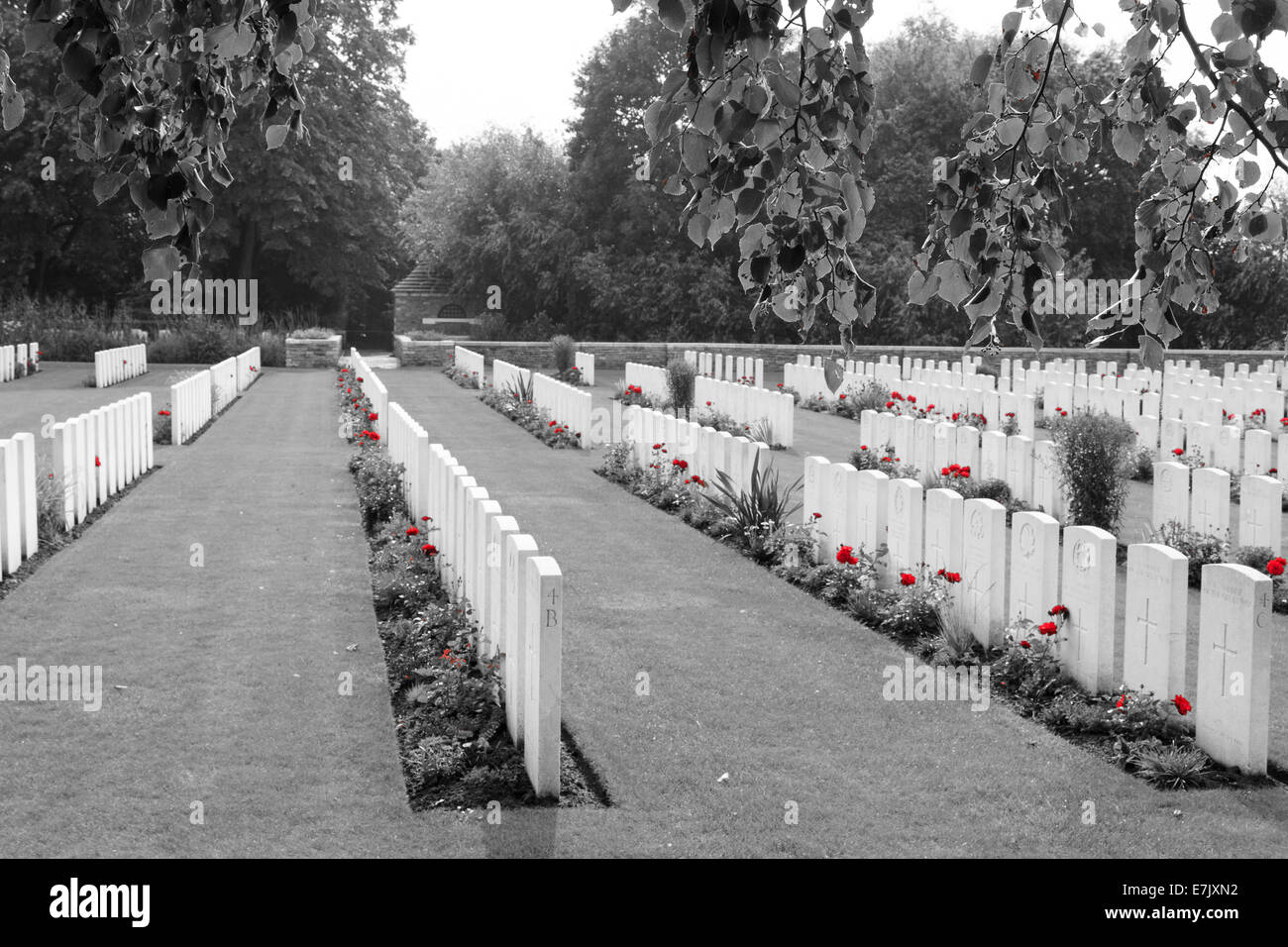 First World War cemetery in Belgium Flanders Stock Photo