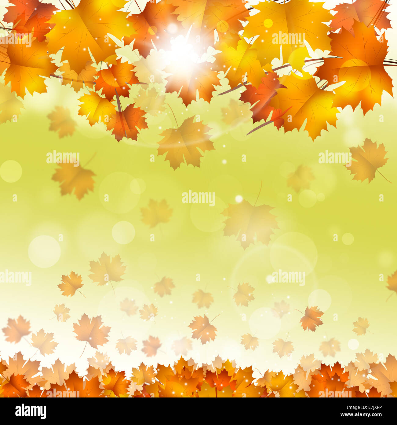abstract golden autumn sunny background with yellow leaves Stock Photo ...