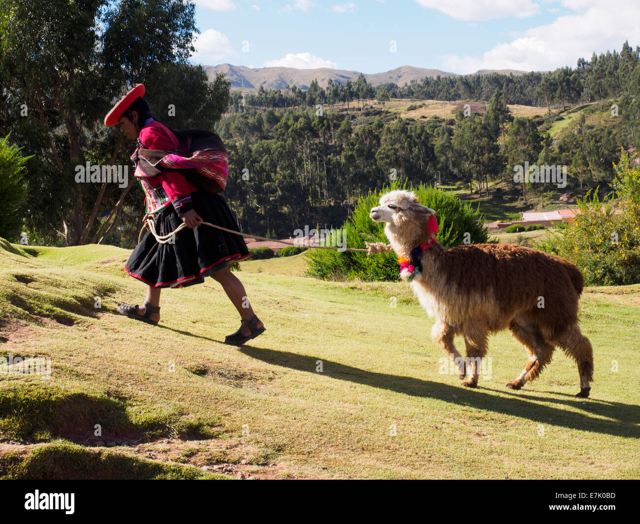 Quechua woman walking with her alpaca - Cusco, Peru Stock Photo