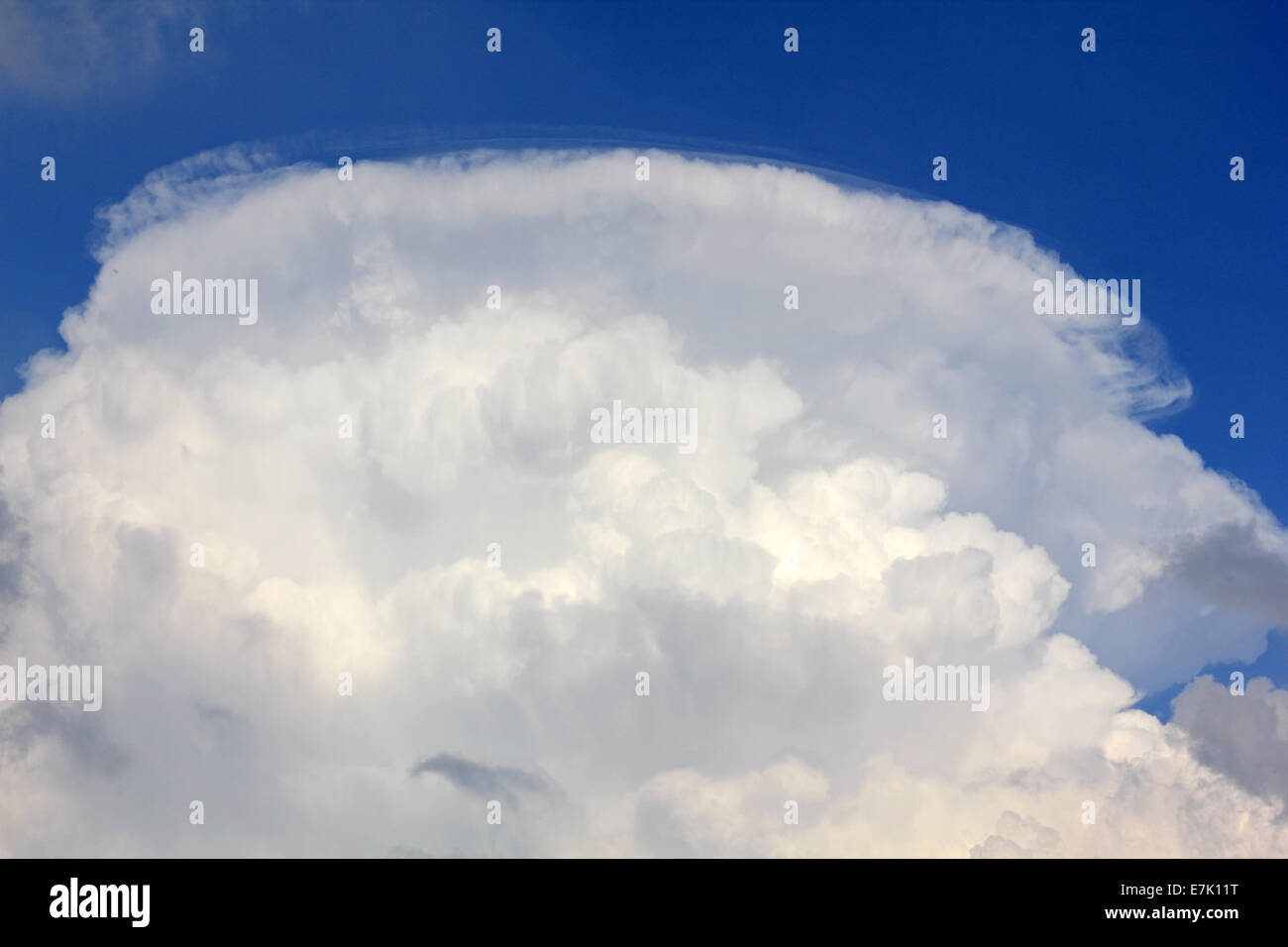 Bushy Park, SW London, England, UK. 19th September 2014. Unusual cloud formation in the sky over South West London. A large cumulus cloud is capped with a small wispy pileus cloud against a vivid blue sky. Credit:  Julia Gavin UK/Alamy Live News Stock Photo