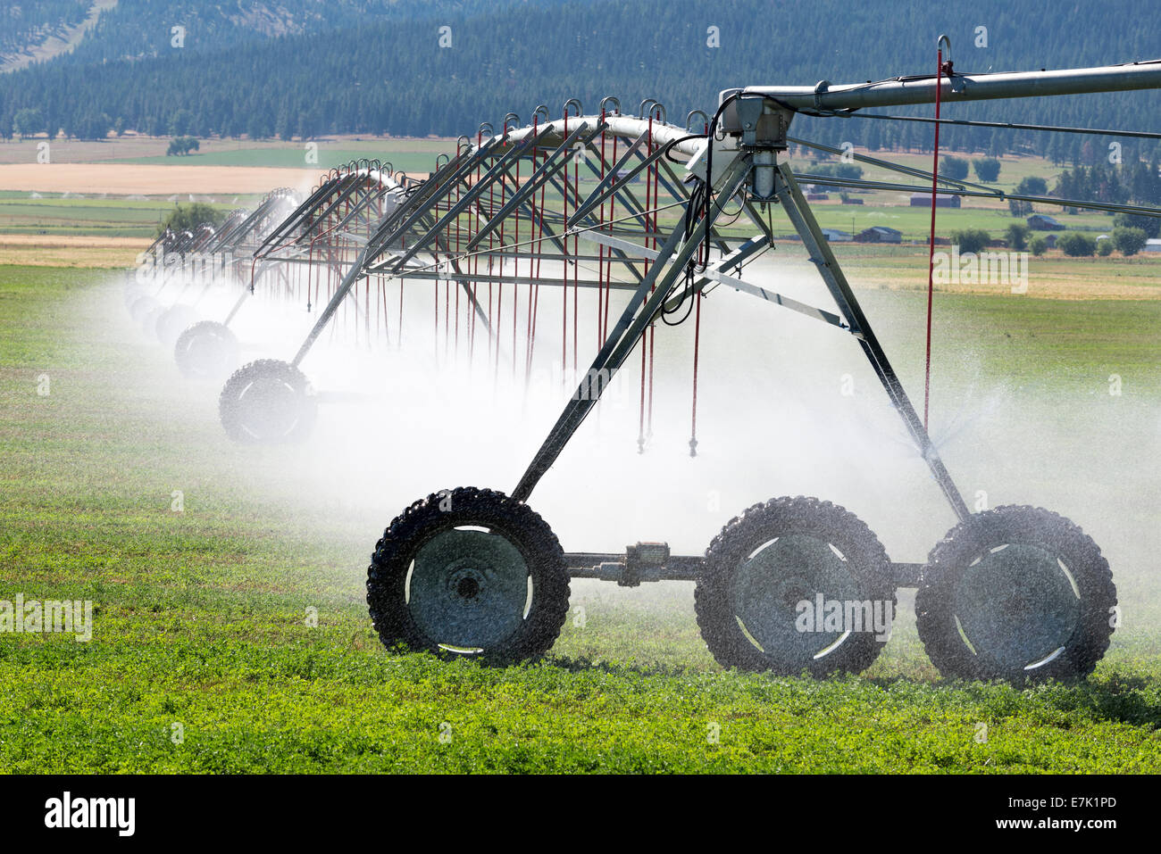 Water spraying from a mechanical irrigation system on a farm in