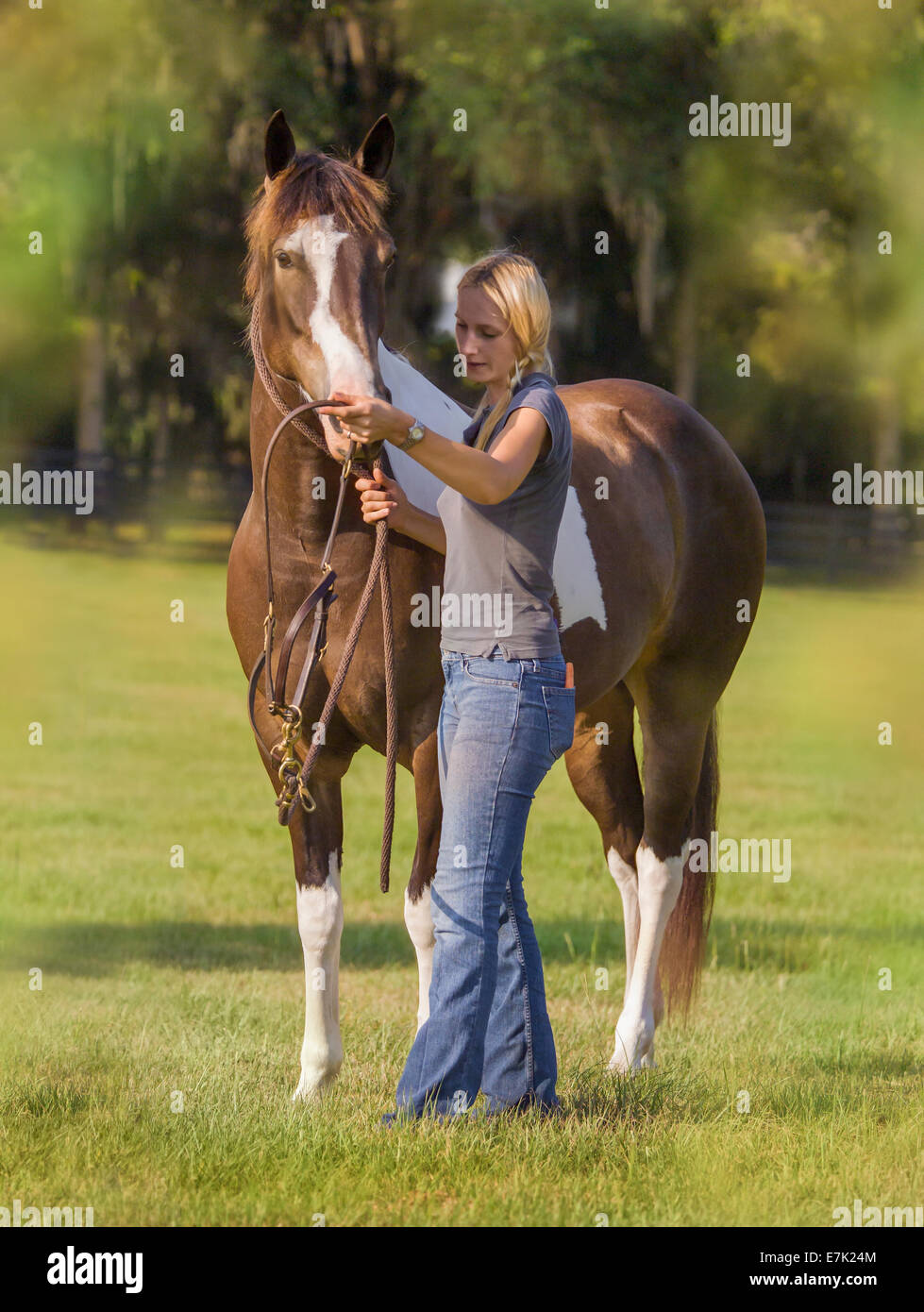Remove halter hires stock photography and images Alamy