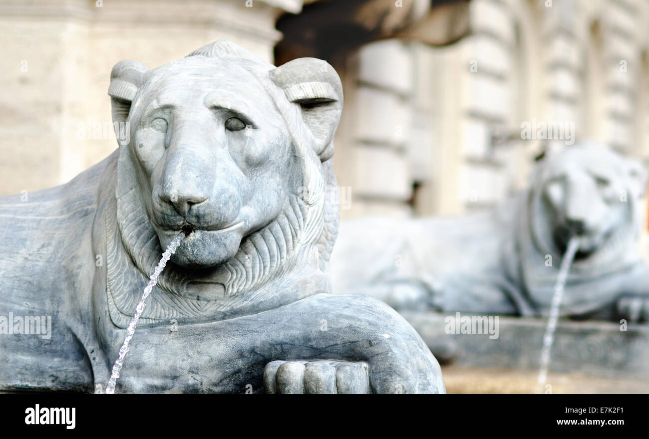 lion shaped fountain in rome, italy, made of stone Stock Photo Alamy