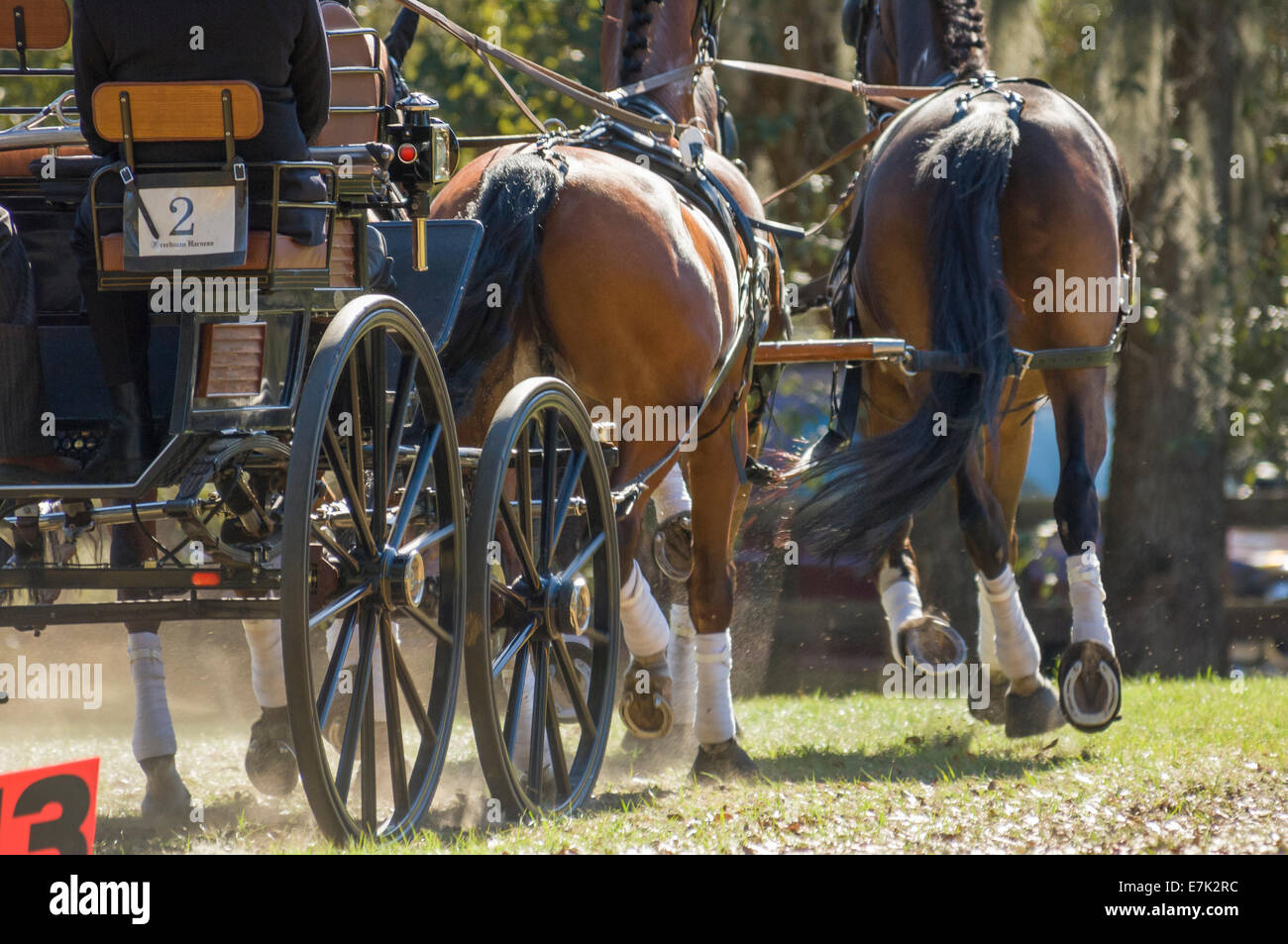 Horses Pulling Wagon Stock Photos & Horses Pulling Wagon Stock Images