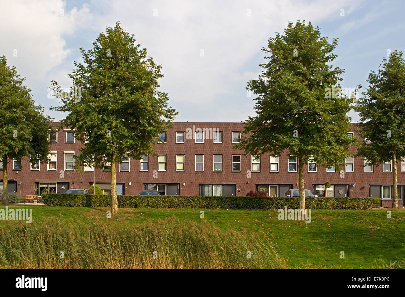 Modern housing estate in Hoogeveen in evening light, Netherlands Stock Photo