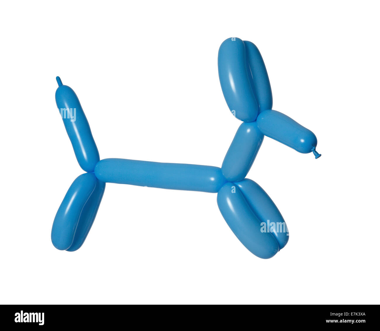 Blue Balloon Dog Stock Photo