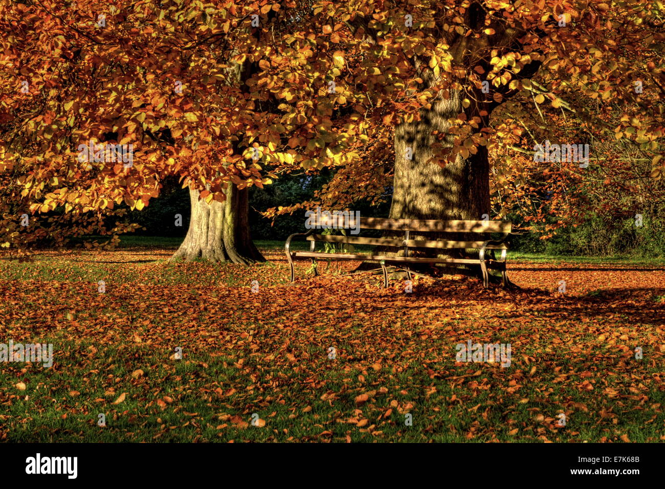 Autumn at Mote Park in Maidstone, Kent Stock Photo