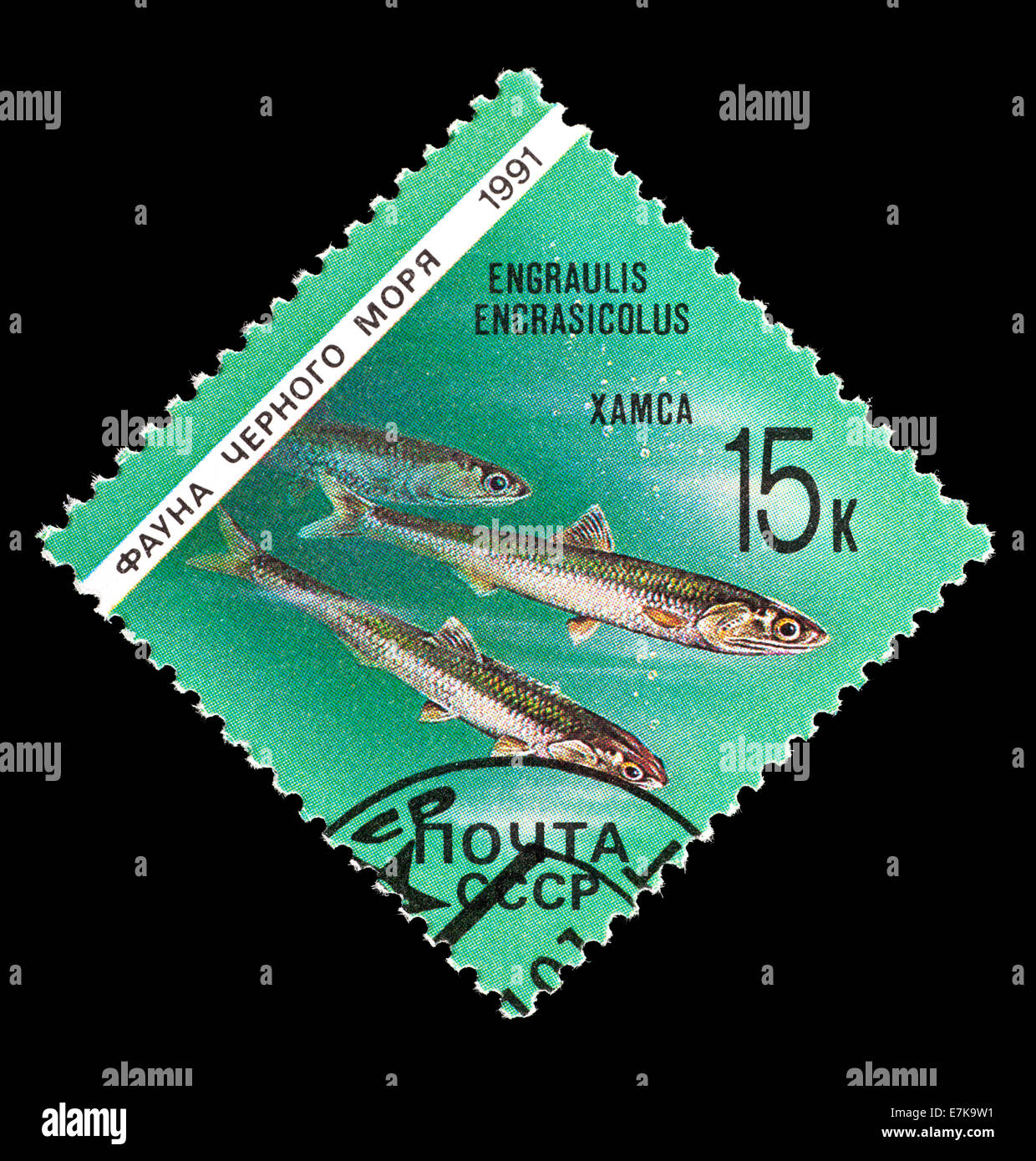 Postage stamp from the Soviet Union (USSR) depicting European anchovy (Engraulis encrasicolus) Stock Photo