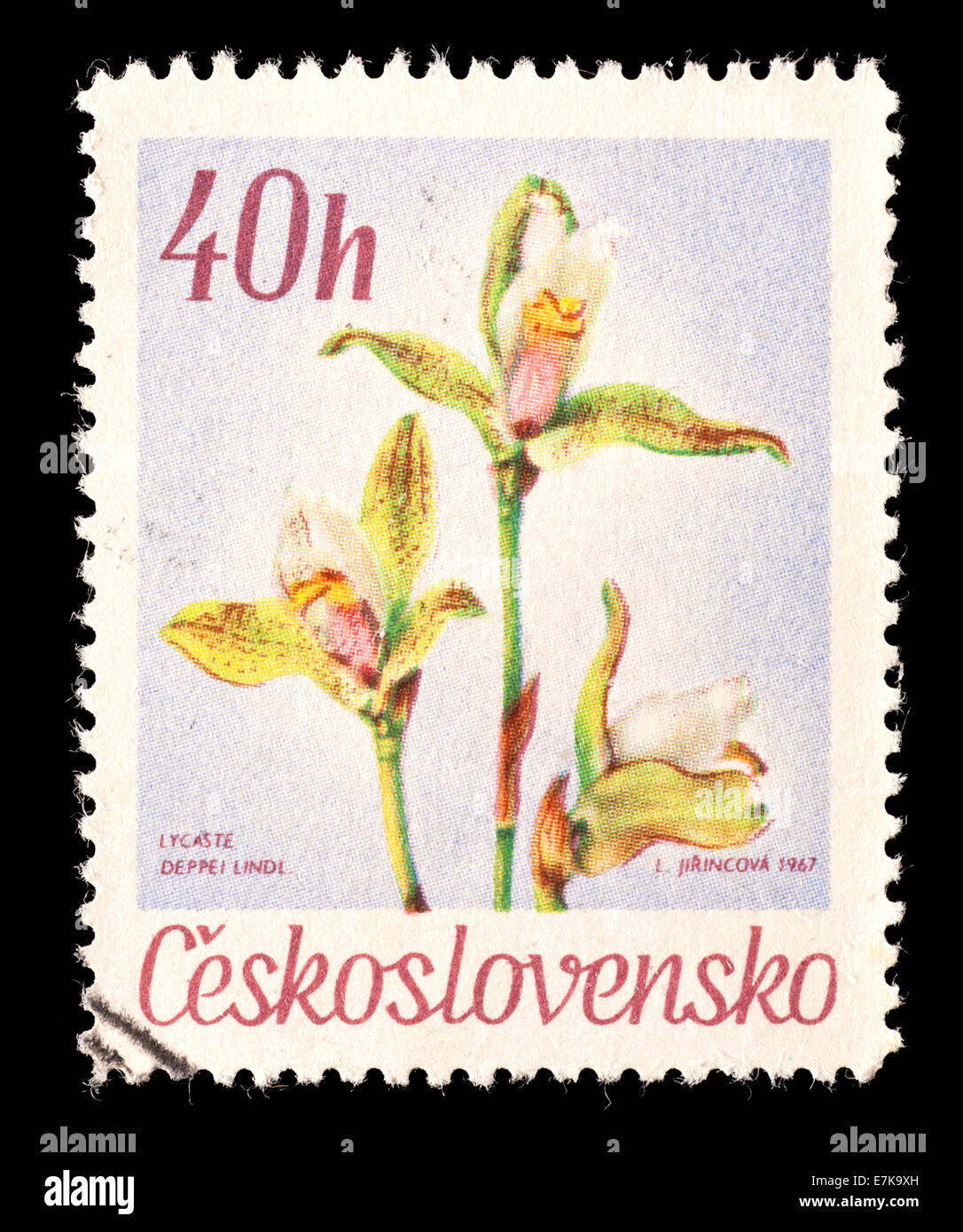 Postage stamp from Czechoslovakia depicting orchid flowers (Lycaste deppei) Stock Photo