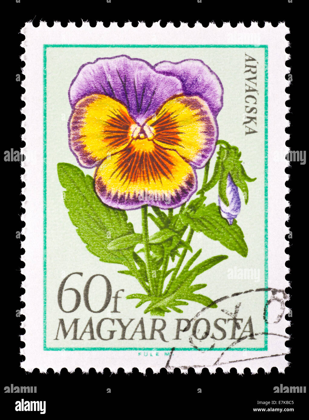 Postage stamp from Hungary depicting a pansy Stock Photo - Alamy