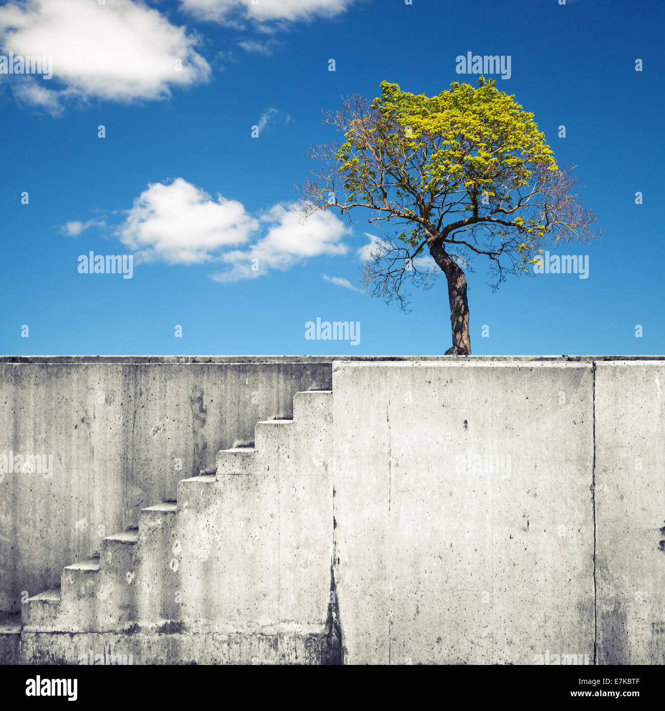 White concrete wall with stairway and small tree above blue sky Stock Photo