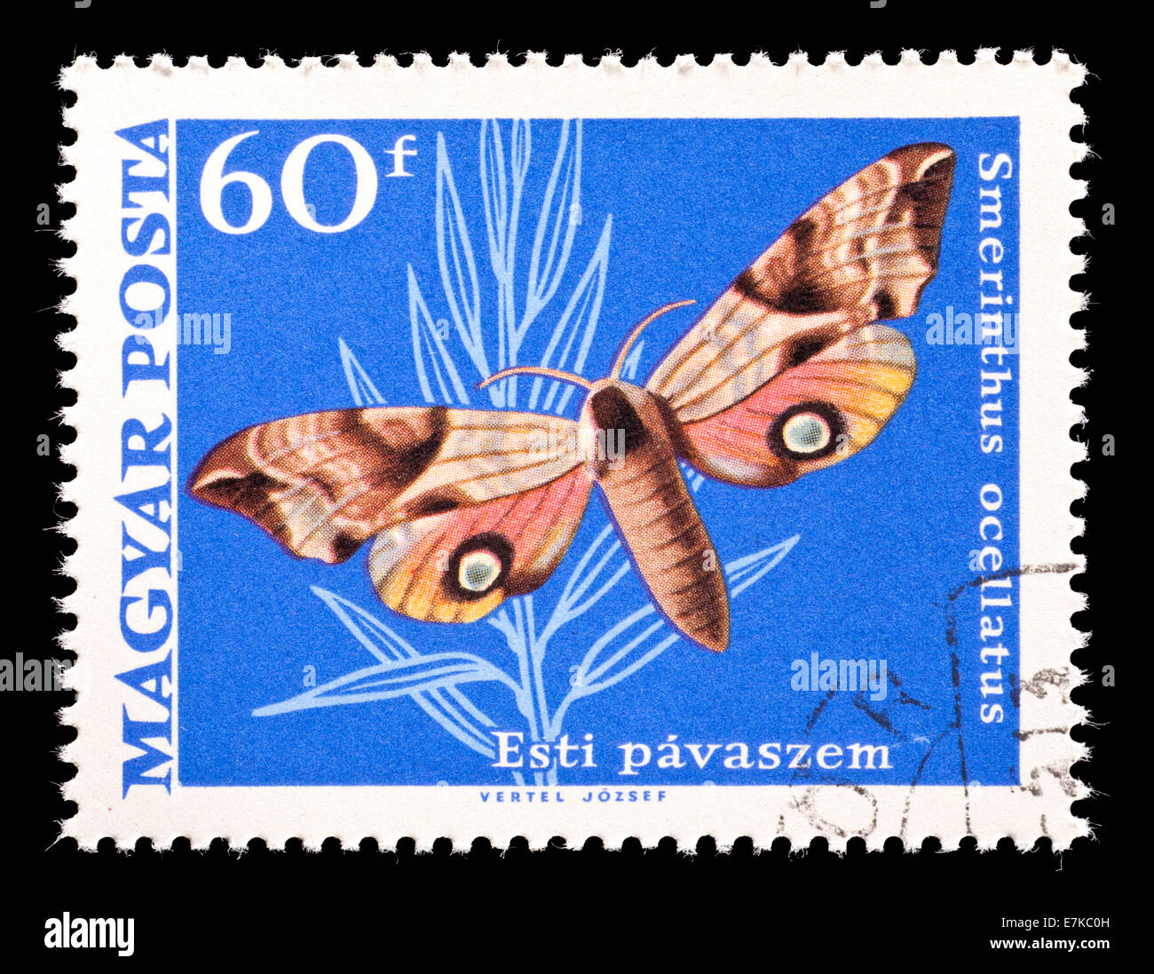Postage stamp from Hungary depicting Eyed Hawk-Moth (Smerinthus ocellatus) Stock Photo