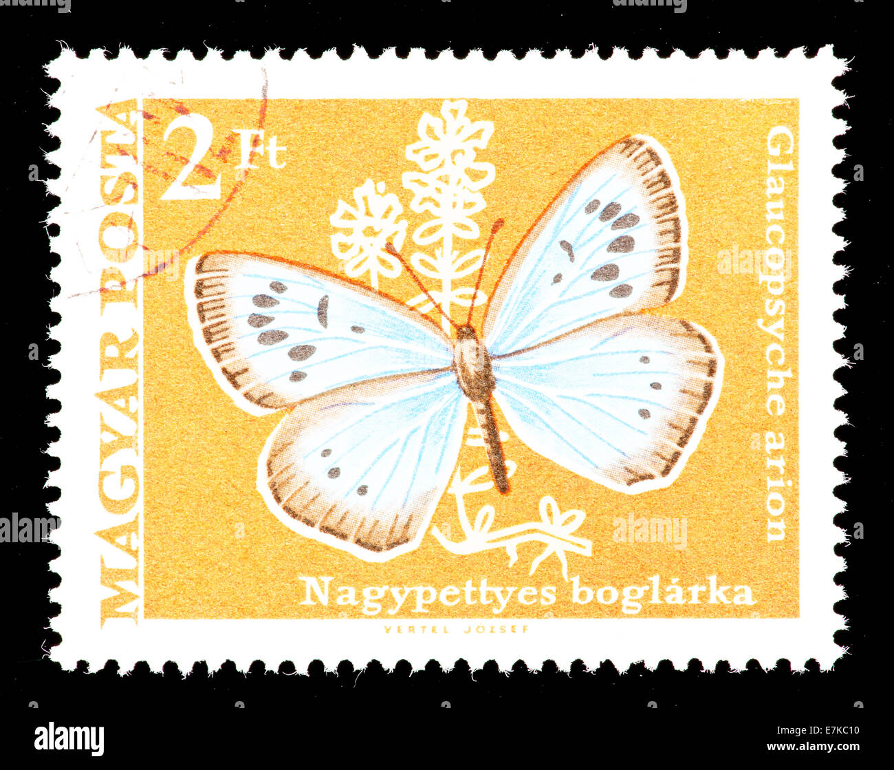 Postage stamp from Hungary depicting the Large Blue butterfly (Phengaris arion). Stock Photo