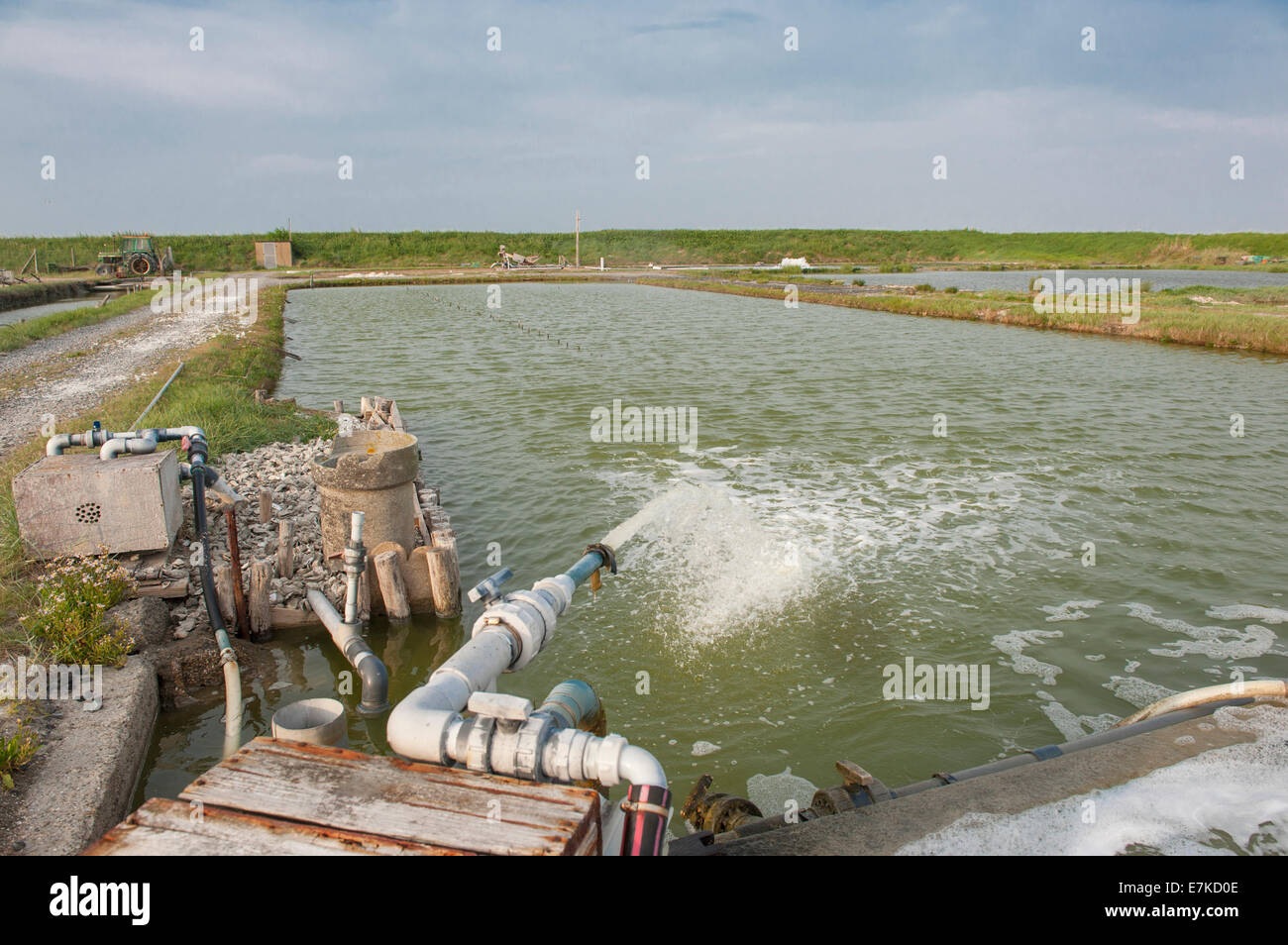Vivier Stock Photos Vivier Stock Images Alamy